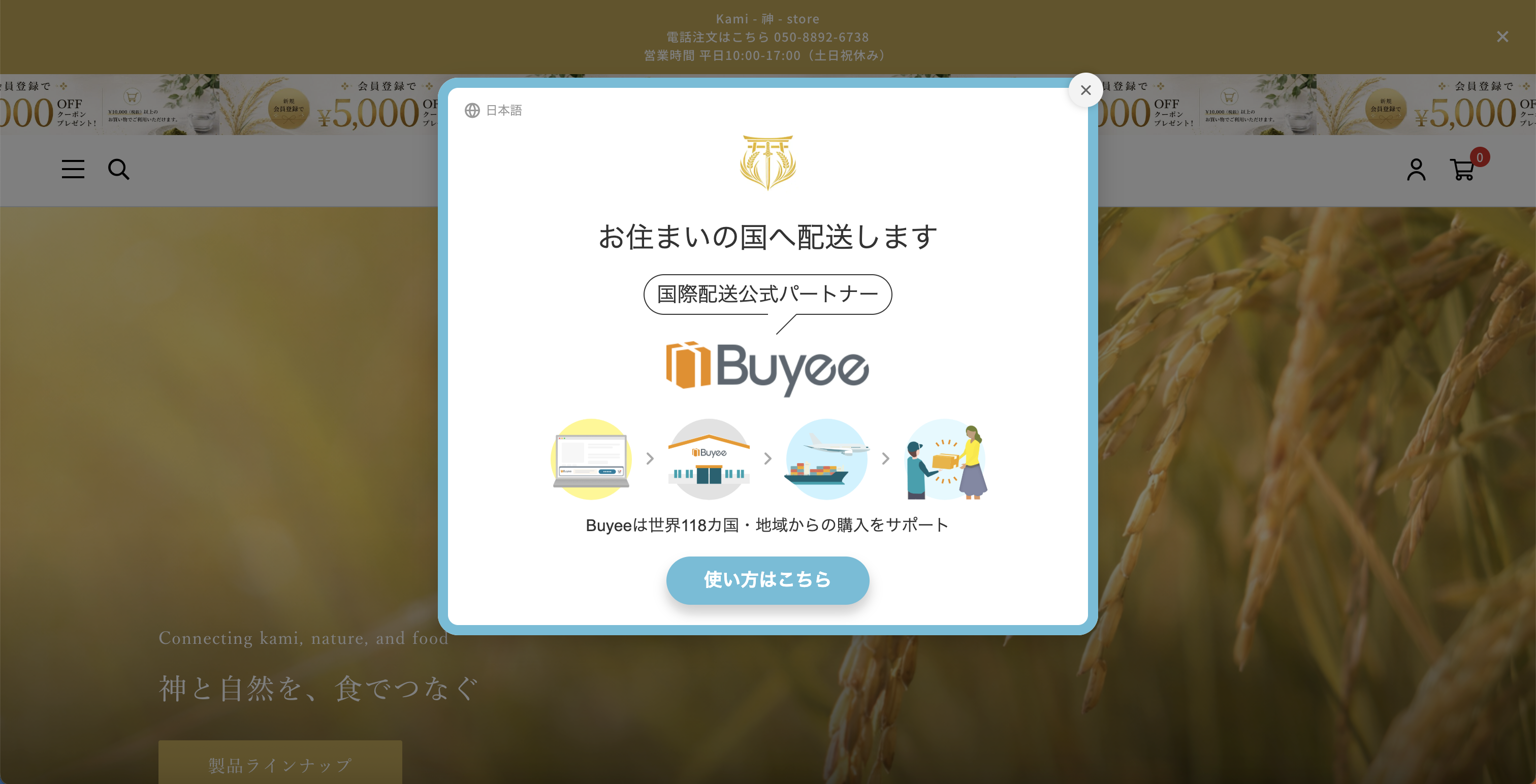 Buyee Connect 海外配送のご案内